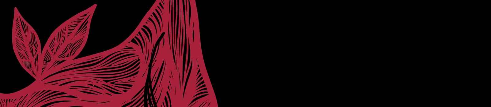 Especialidades Portada Web